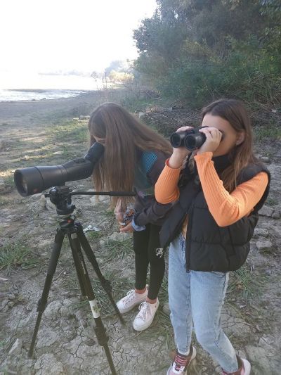Участие в World Migratory Bird Day 2