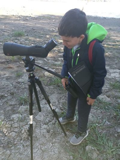 Участие в World Migratory Bird Day 3
